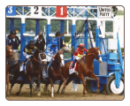 Justify 2018 Belmont Stakes Gate Photo Signed