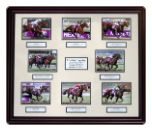2003 Breeders' Cup Collage