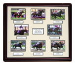 2005 Breeders' Cup Race Collage