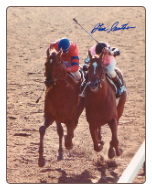 Affirmed 1978 Belmont Stakes #412 8x10 signed