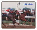 Affirmed 1978 Preakness Stakes #401 11 "x 14"  Signed