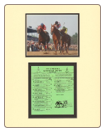 Affirmed Kentucky Derby Mini Collage