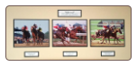 Affirmed Triple Unsigned Matted / Mounted