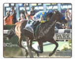 American Pharoah 2015 Belmont Stakes Finish Photo 8×10 Signed