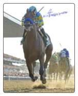 American Pharoah 2015 Belmont Stakes Remote Photo 8×10 Signed