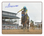 American Pharoah 2015 Breeders’ Cup Classic Remote Photo Signed 8×10