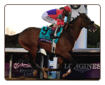 Authentic 2020 Breeder's Cup Classic Winning Photo