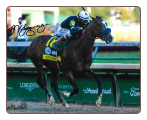 Authentic 2020 Kentucky Derby finish Photo Signed