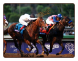 Bayern 2014 Breeders’ Cup Classic Signed