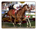 Big Brown 2008 Preakness Stakes Finish