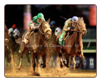 Blame 2010 Breeders' Cup Classic #1
