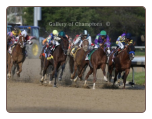 California Chrome 2014 Kentucky Derby Final Turn Photo