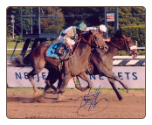 Colonel John 2008 Travers Stakes Photo 8x10 Signed