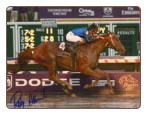 Curlin 2007 BC Classic #2 8x10 Photo Signed