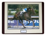 Curlin 2007 Breeders' Cup Classic Photo #1 16×20 Framed Signed