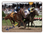 Curlin 2007 Preakness Stakes Photo 8x10 Signed