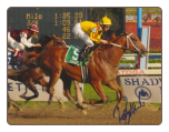 Curlin 2008 Woodward Stakes 8x10 Photo Signed