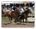 Curlin Preakness Stakes 16 x 20 Signed