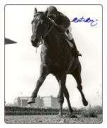 Dr. Fager Withers Stakes 8x10 Photo Signed
