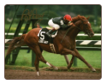 Easy Goer Travers Stakes #1 8x10 Signed #528