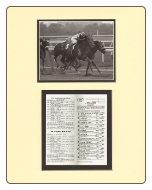 Forego 1977 Woodward Stakes Mini Collage
