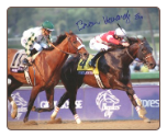 Fort Larned 2012 Breeders’ Cup Classic Signed Photo B. Hernandez Jr.