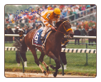 Go For Gin 1994 Kentucky Derby 8x10 Signed Photo
