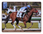 Goldencents 8x10 Loose Photo, Autographed by Kevin Krigger