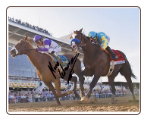 I'll Have Another 2012 Kentucky Derby Signed Photo