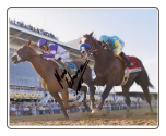 I'll Have Another 2012 Kentucky Derby Signed Photo