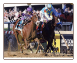 I'll Have Another 2012 Preakness Stakes Signed Photo