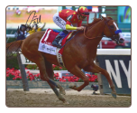 Justify 2018 Belmont Stakes Finish Signed
