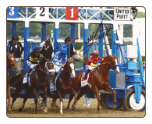 Justify 2018 Belmont Stakes Gate Photo Signed
