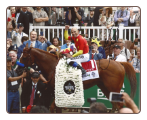 Justify 2018 Belmont Stakes Winner’s Circle Photo