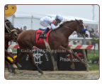 Justify 2018 Preakness Stakes