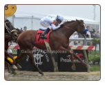 Justify 2018 Preakness Stakes