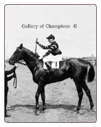 Man o' War 1920 Belmont Stakes