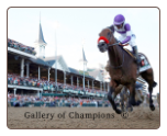 Nyquist 2016 Kentucky Derby Remote Photo
