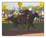 Prairie Bayou 1993 Preakness Stakes 8x10 Photo Signed