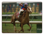 Rags To Riches Kentucky Oaks 8x10 Signed