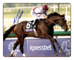 Royal Delta 2012 Breeders Cup Ladies Classic Signed Mike Smith