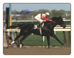 Ruffian 1975 Acorn Stakes 8×10 Signed Photo #2 Jacinto Vasquez