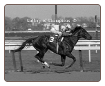 Ruffian 1975 Acorn Stakes 8×10 BW Photo #1 Signed Jacinto Vasquez