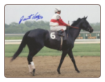 Ruffian 1975 Mother Goose Stakes 8x10 Photo Signed