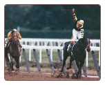 Seattle Slew 1977 Belmont Stakes #419