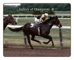 Seattle Slew 1977 Belmont Stakes #417