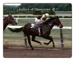 Seattle Slew 1977 Belmont Stakes #417
