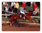 Secretariat 1973 Preakness Stakes 11x14 Signed Photo #114