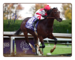 Songbird Breeders’ Cup Juvenile Fillies Signed