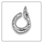 Sterling Silver Horseshoe Pendant and Chain